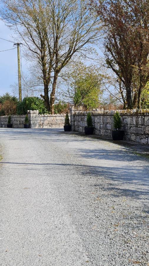 Yellow Heights Country House Villa Tinahely Exterior foto