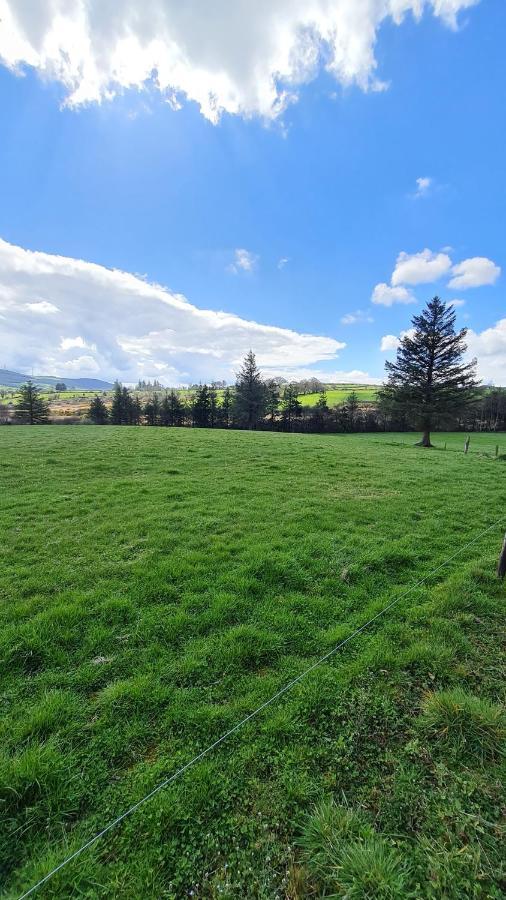 Yellow Heights Country House Villa Tinahely Exterior foto